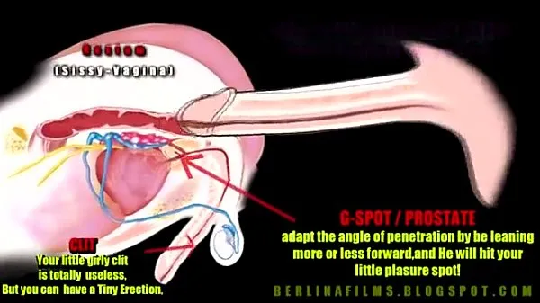 Tubo di azionamento anatomia trans HD