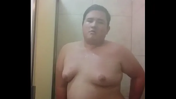 HD O porquinho tomando banho acionamento Tube