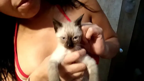 HD Sarah Rosa │ Série │ Gatos & Gatas │ no Banho com Gustavo ║ Neste Vídeo Ela nos Mostra como Fez para dar Banho em Seu Gatinho Gustavo pemacu Tube